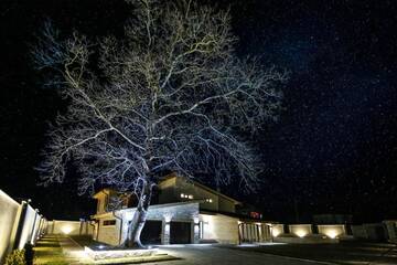 Фото номера Вилла Виллы Vila Antik г. Гармен 20