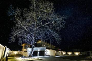 Фото номера Вилла Виллы Vila Antik г. Гармен 25